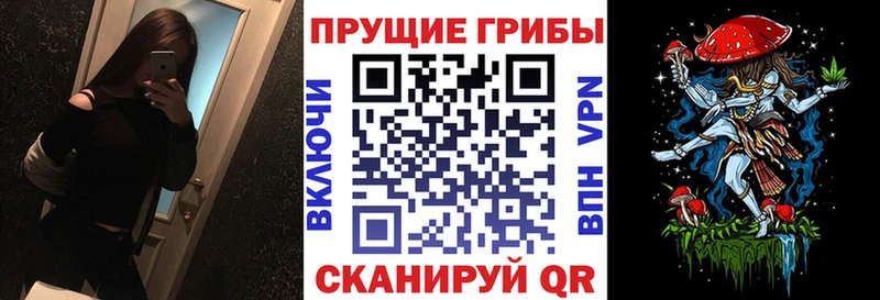 где можно купить   Одинцово  Псилоцибиновые грибы мухоморы 