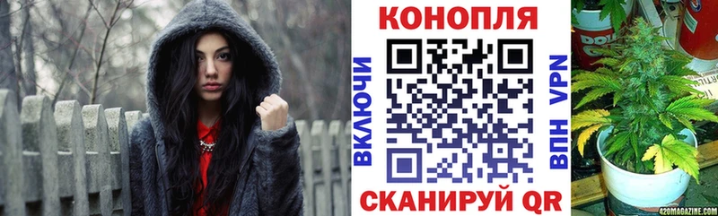 Бошки Шишки гибрид  как найти закладки  Одинцово 